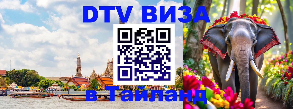 Оформление DTV визы под ключ: стоимость и тарифы, только загранпаспорт - 05.12.2025 